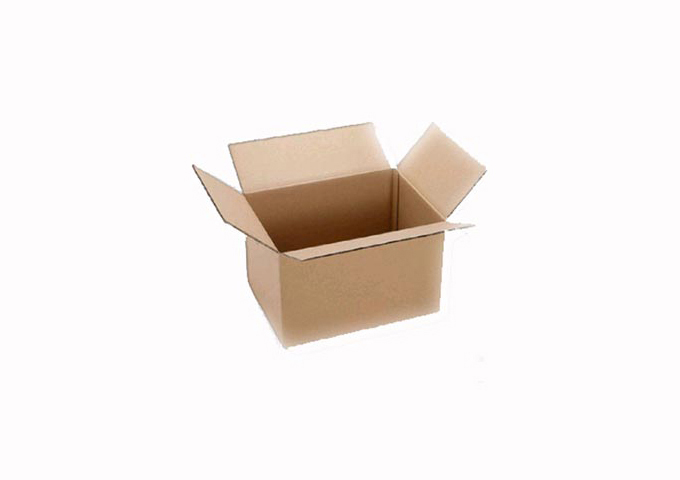 Corrugated Carton Sample